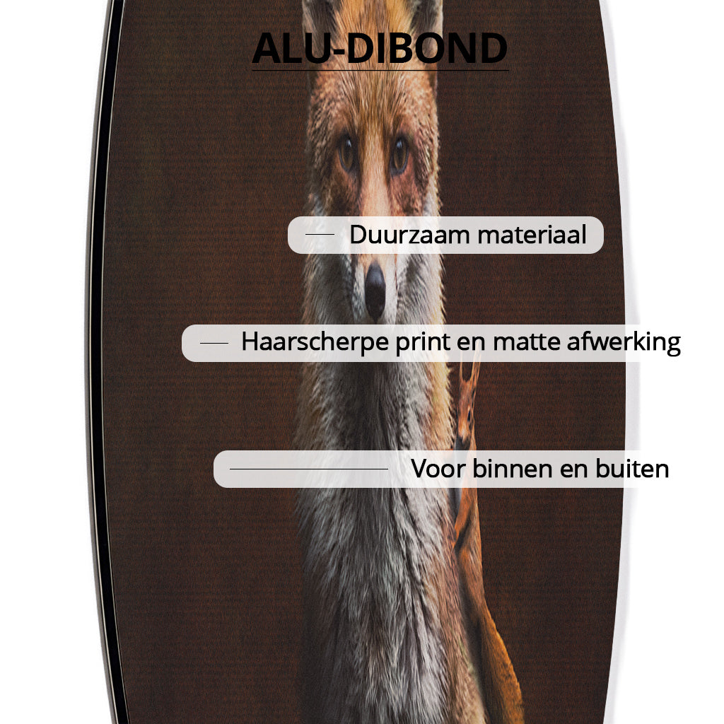 Fox with Squirrels RND