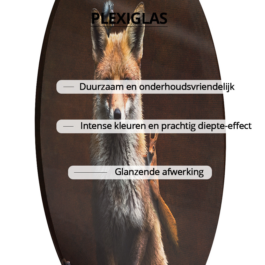 Fox with Squirrels RND