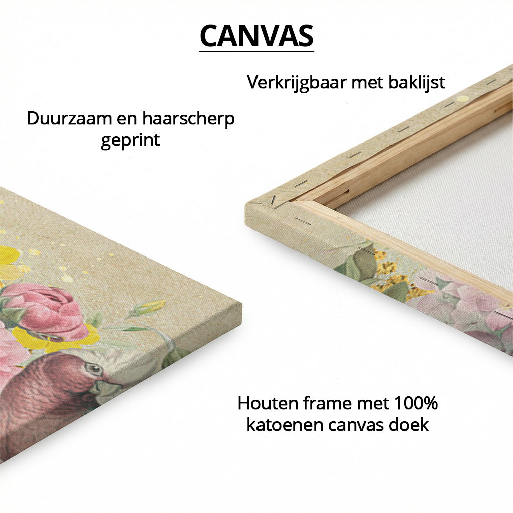 Galah Cockatoo Heaven LS