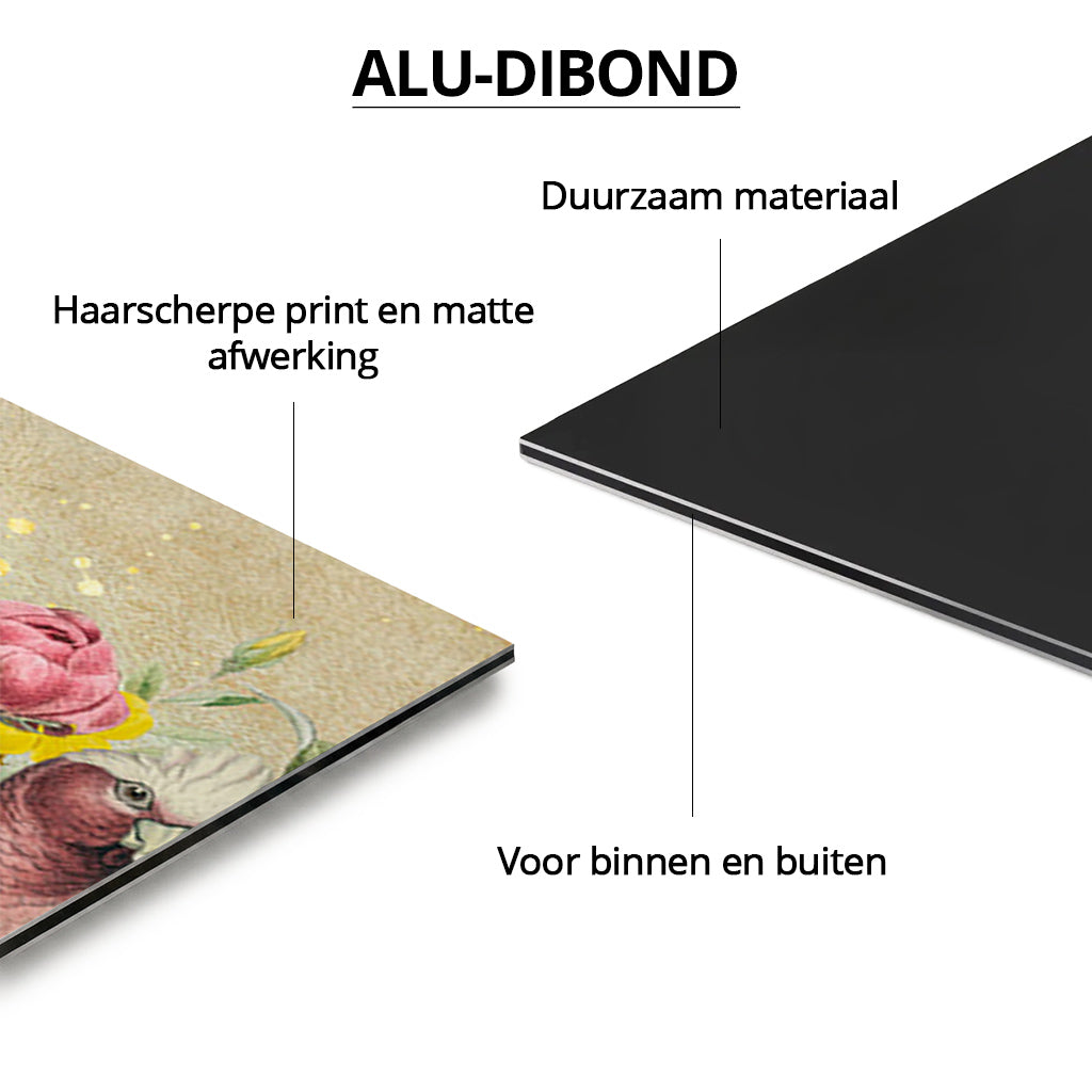 Galah Cockatoo Heaven LS