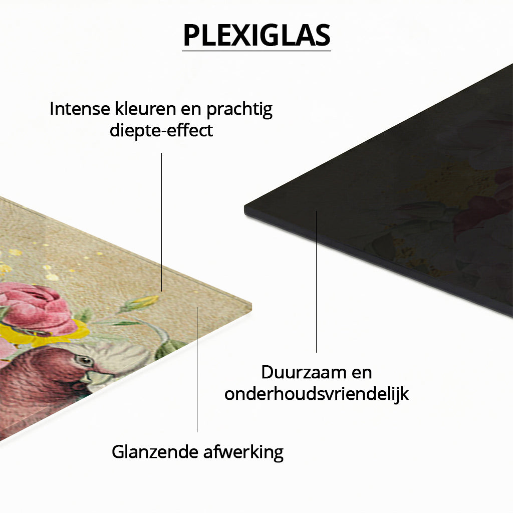 Galah Cockatoo Heaven LS