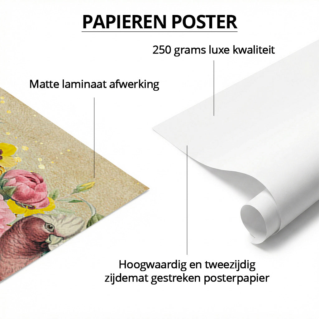 Galah Cockatoo Heaven LS