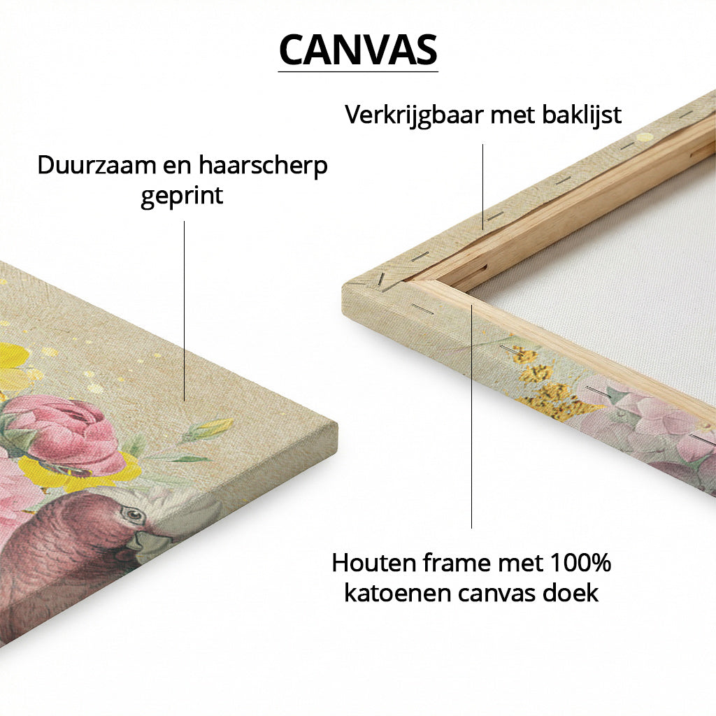 Galah Cockatoo Heaven