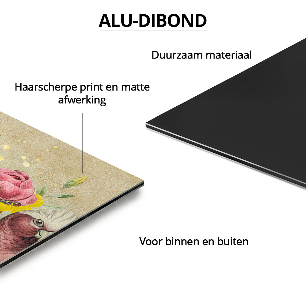 Galah Cockatoo Heaven