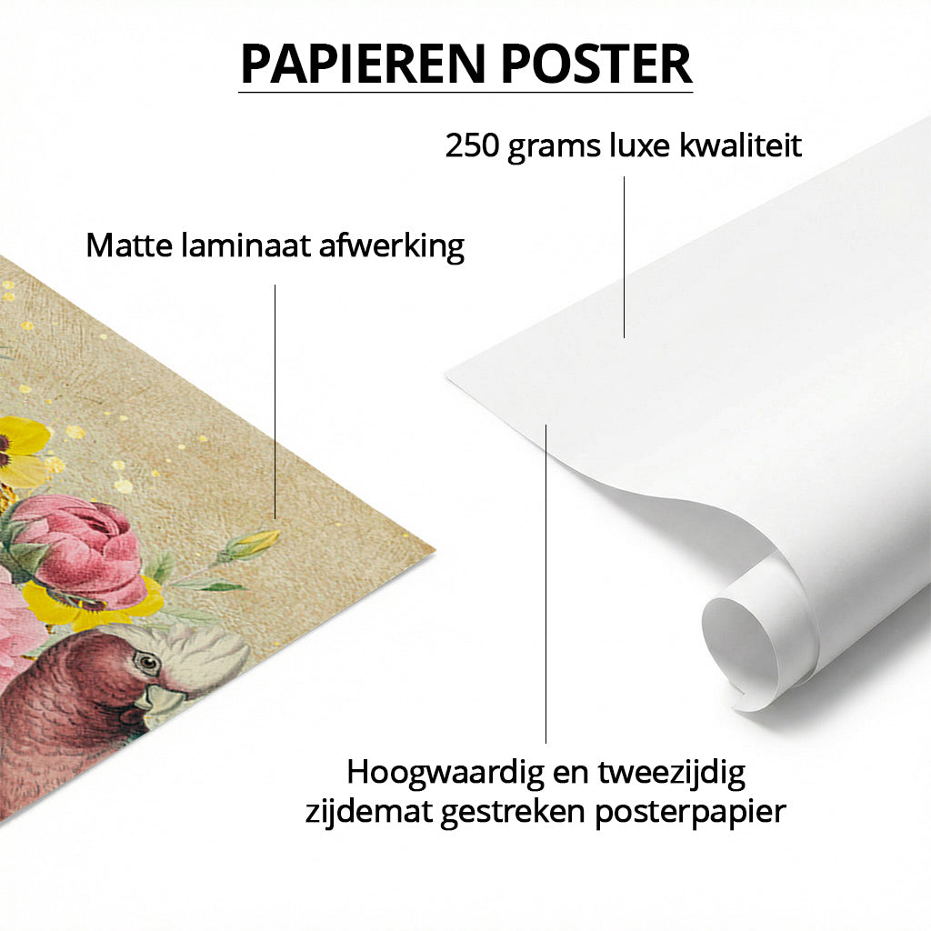 Galah Cockatoo Heaven