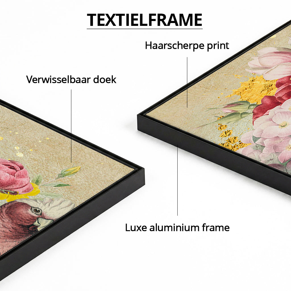 Galah Cockatoo Heaven