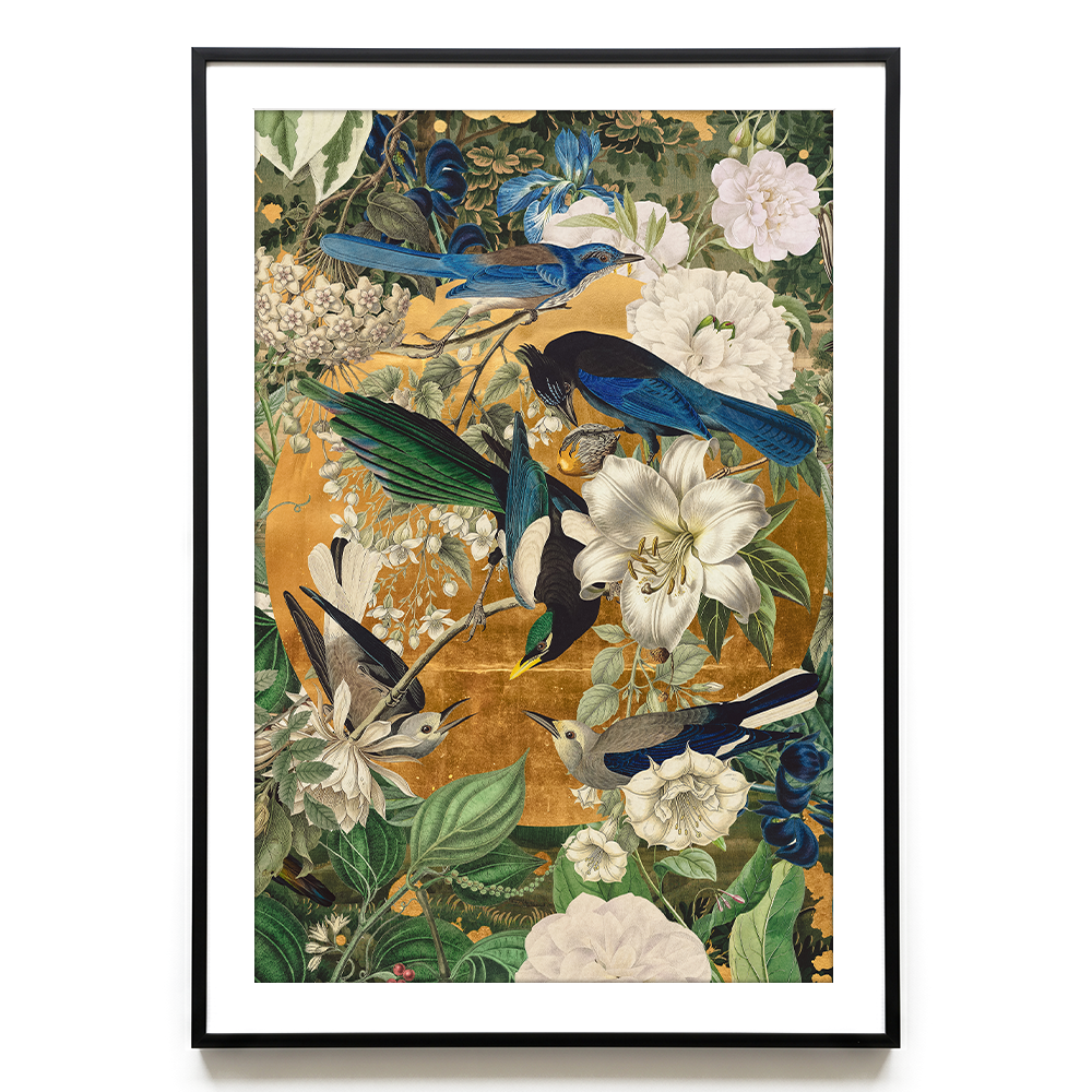Garden of Birds EU