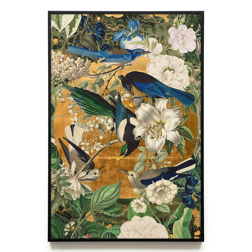 Garden of Birds EU
