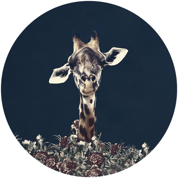 Giraffe RND