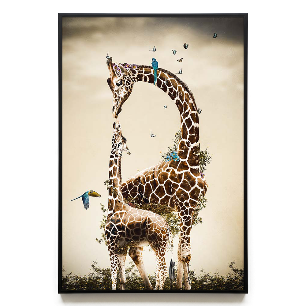 Giraffe and Calf EU