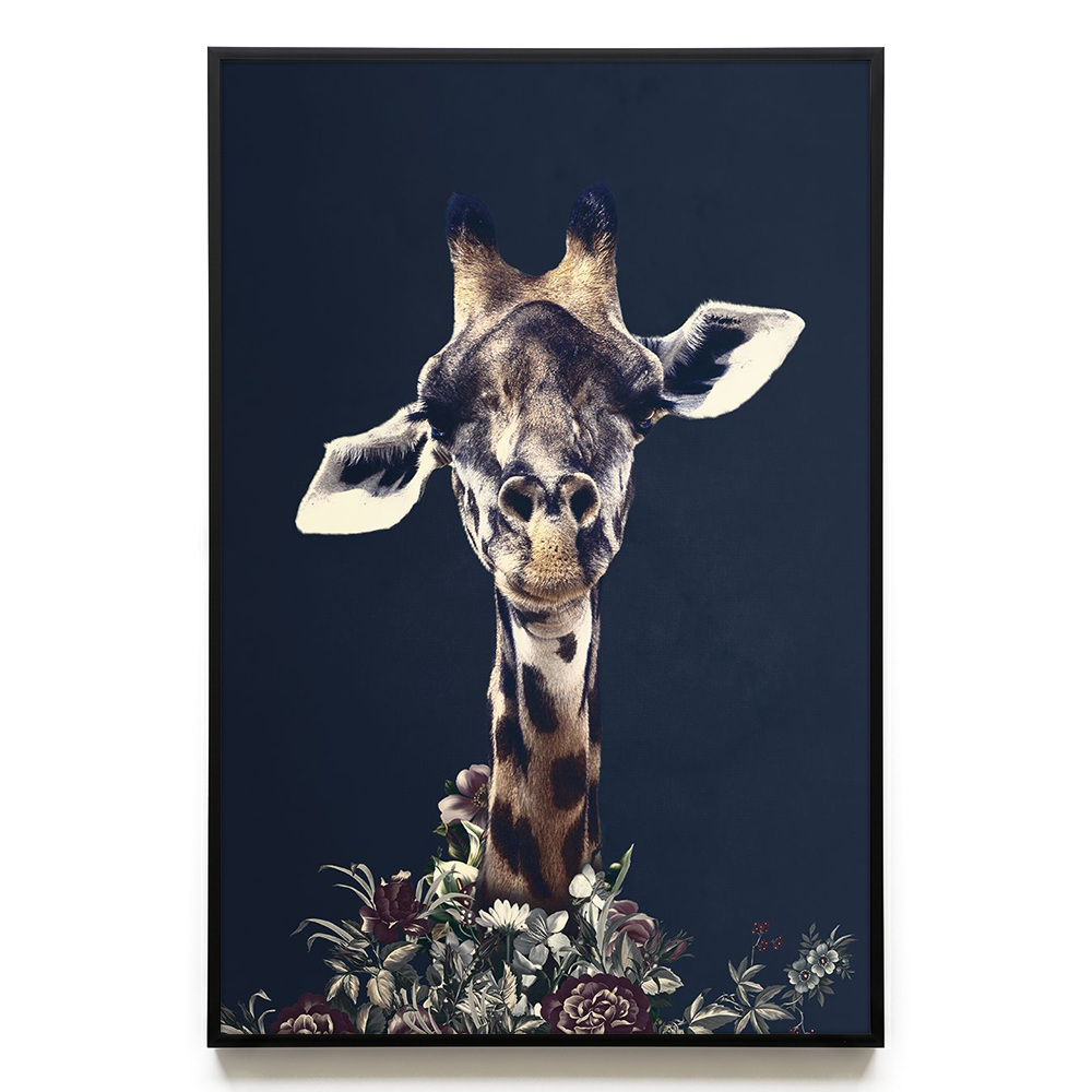 Giraffe EU