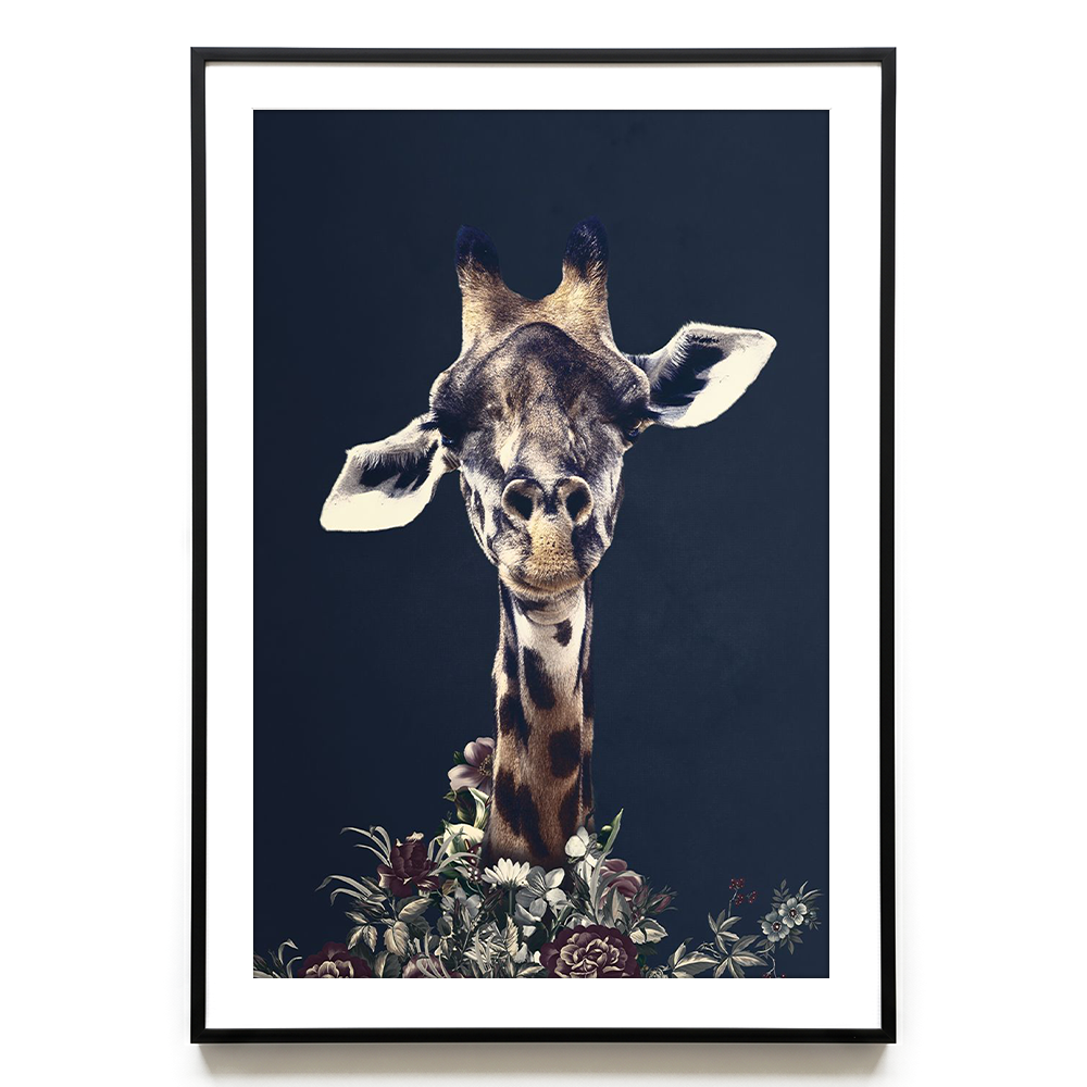 Giraffe EU