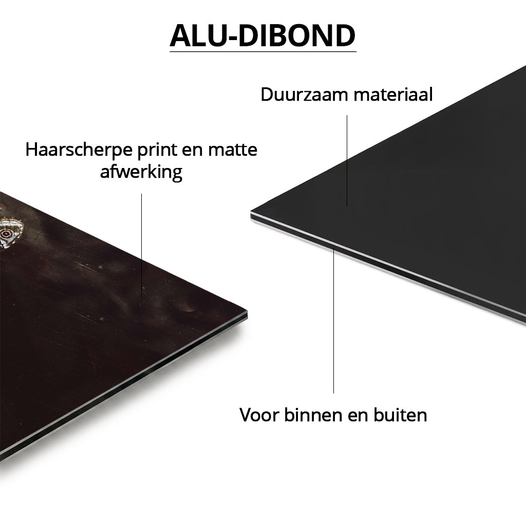 Mädchen mit dem Perlenohrring