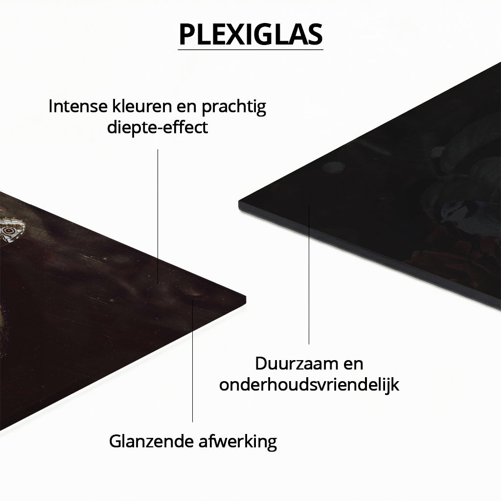 Mädchen mit dem Perlenohrring