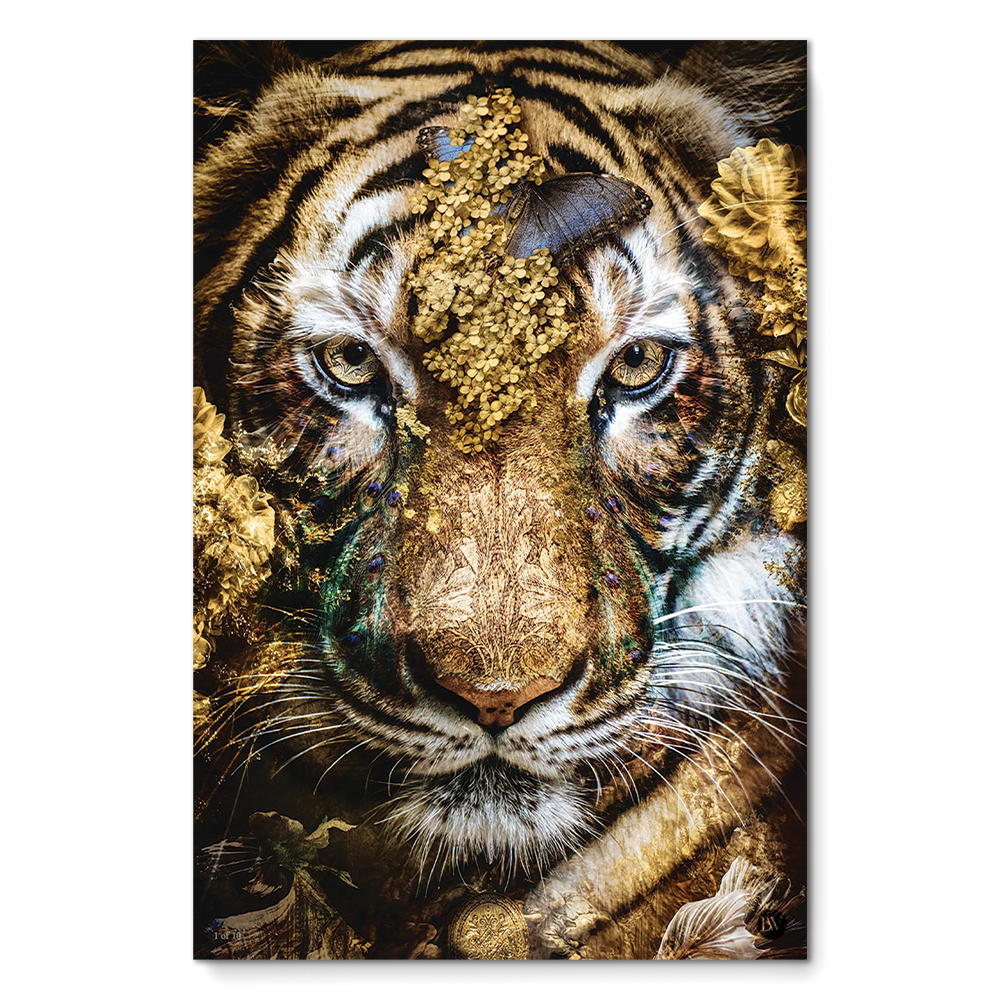 Tiger Limited Edition