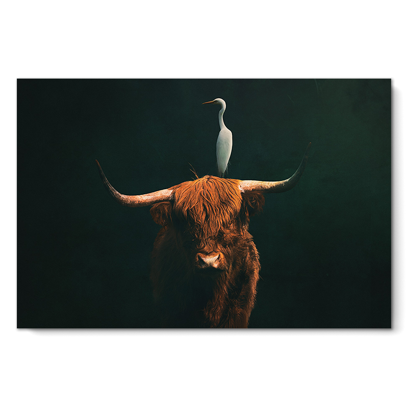 Higland Cow with Heron LS