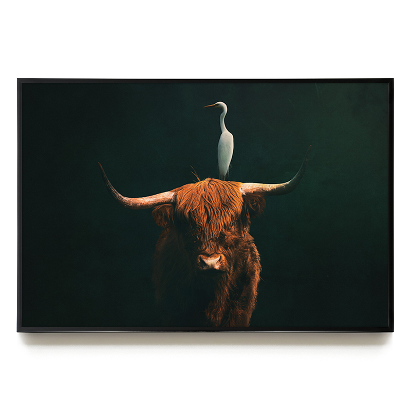 Highland Cow with Heron LS EU