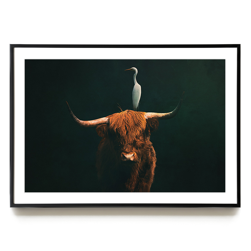 Highland Cow with Heron LS EU