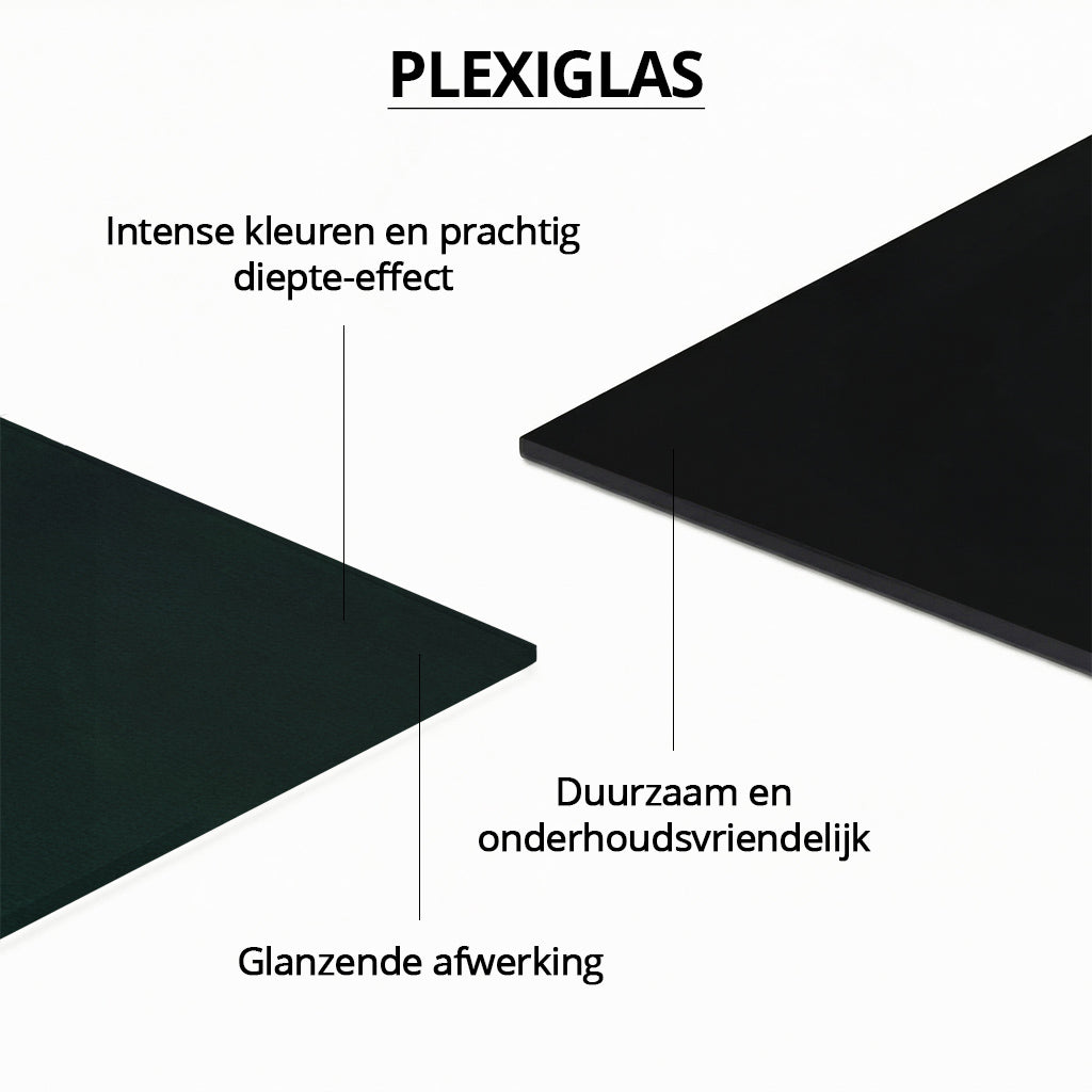 Higland Cow with Heron LS