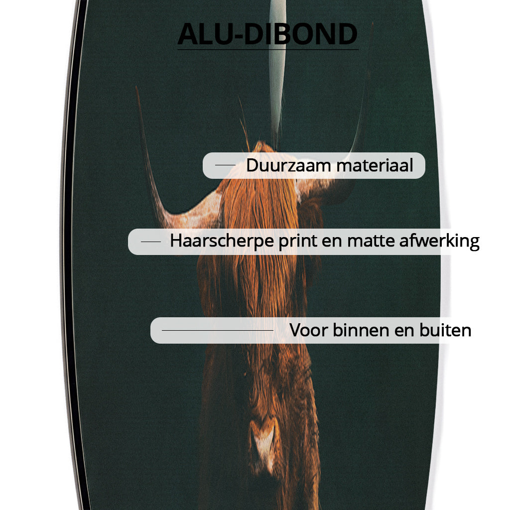 Highland Cow with Heron RND