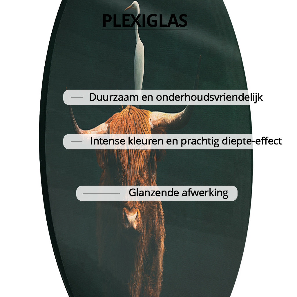 Highland Cow with Heron RND