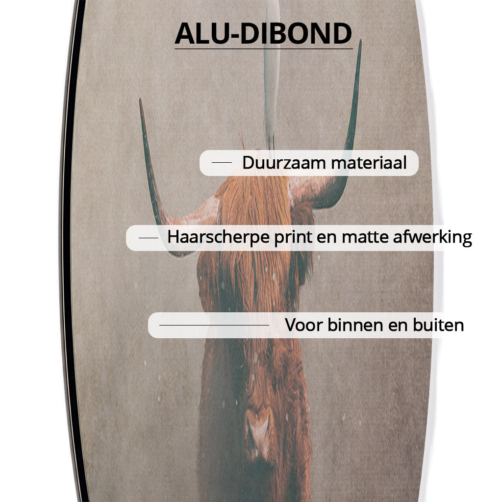 Highland Cow with Heron Light RND