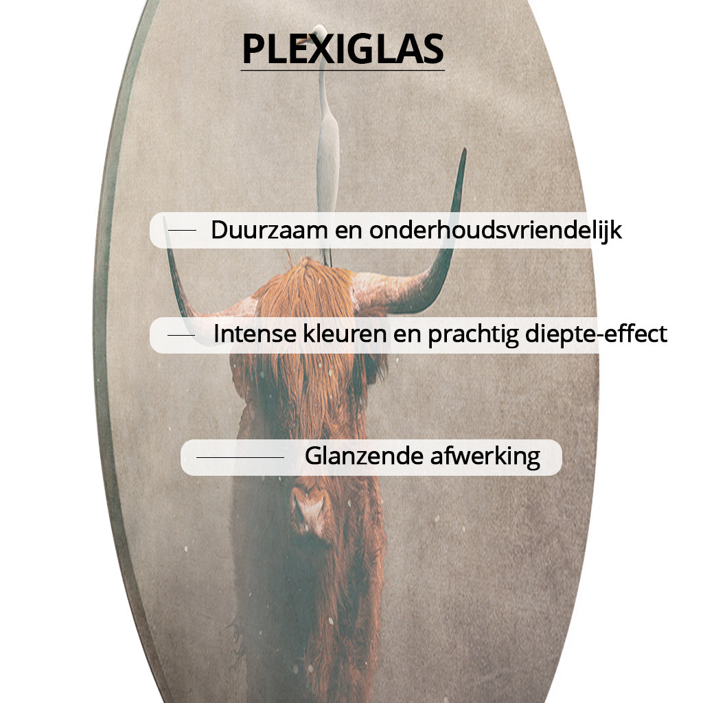 Highland Cow with Heron Light RND