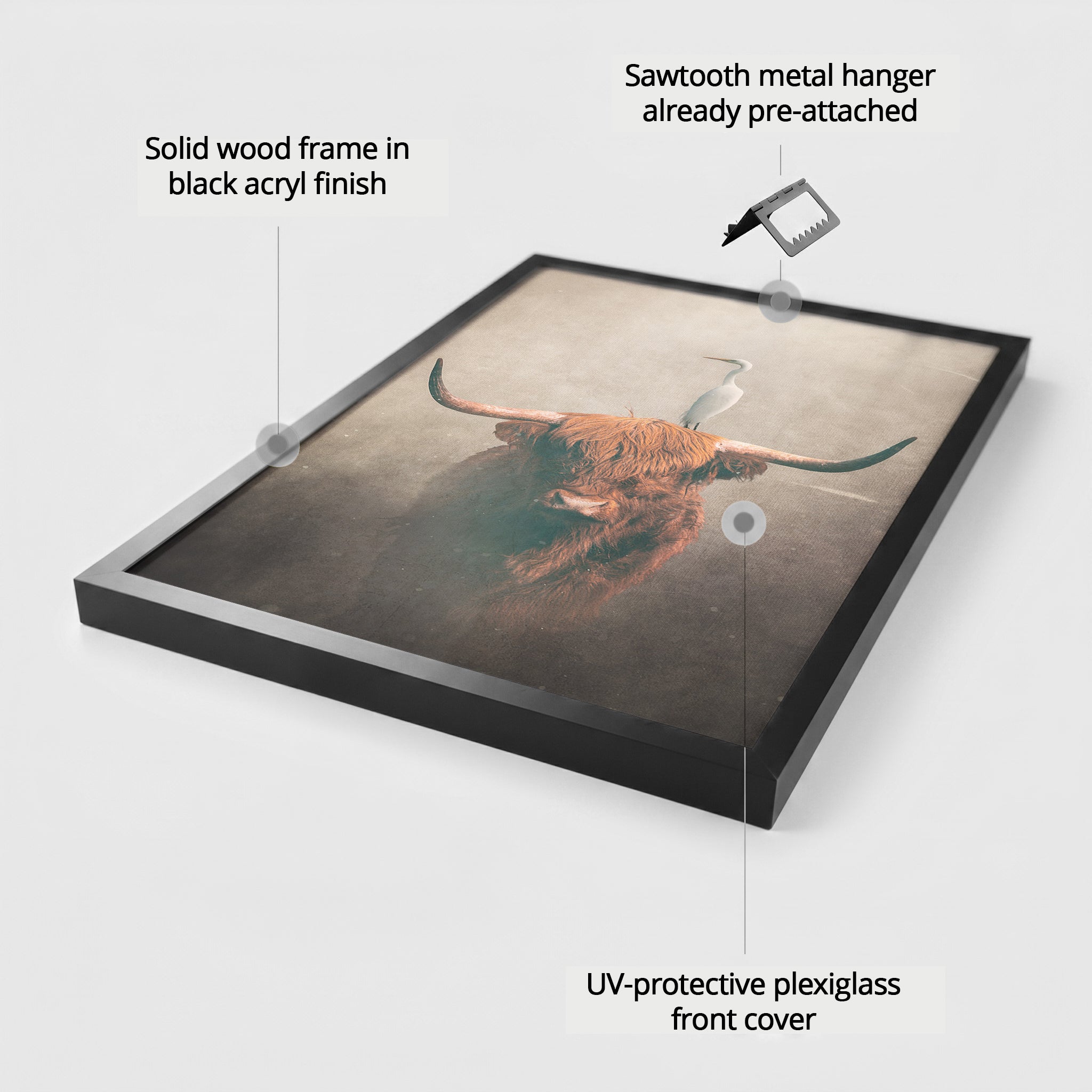 Highland Cow with Heron Light EU