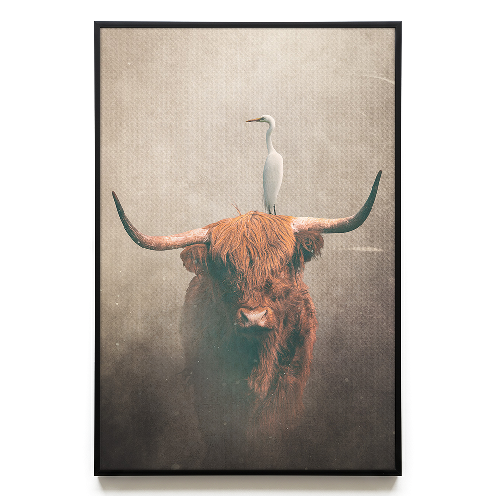 Highland Cow with Heron Light EU