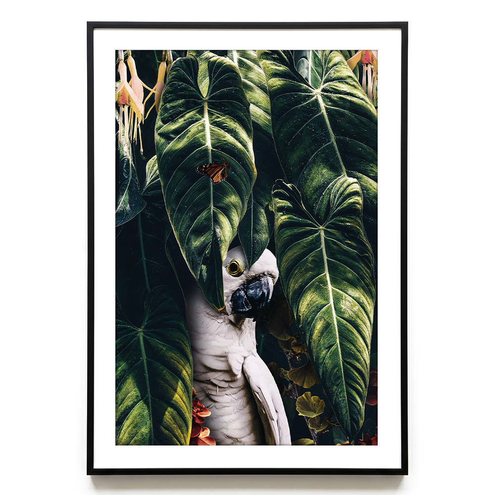 Jungle Parrot EU