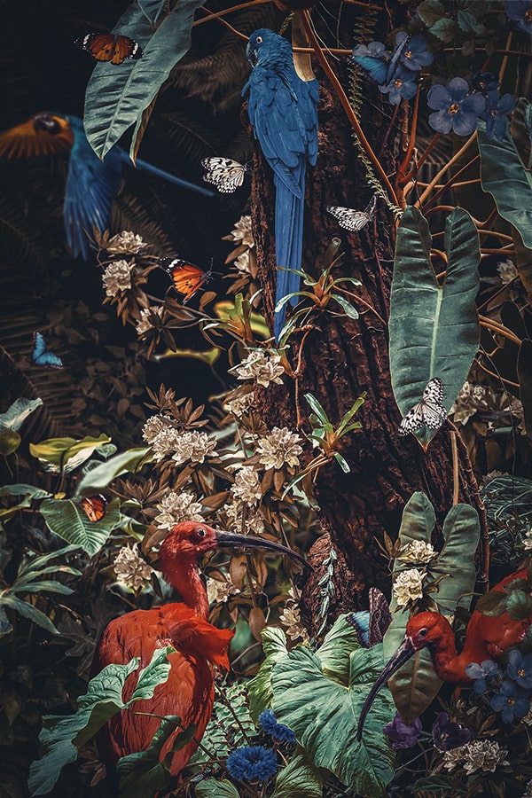 Dschungelszene 2