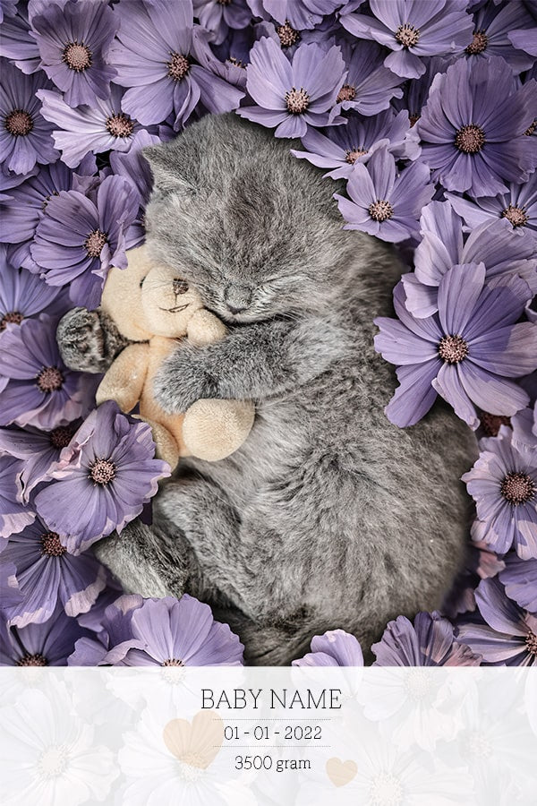 Birth Poster Kitten Lila