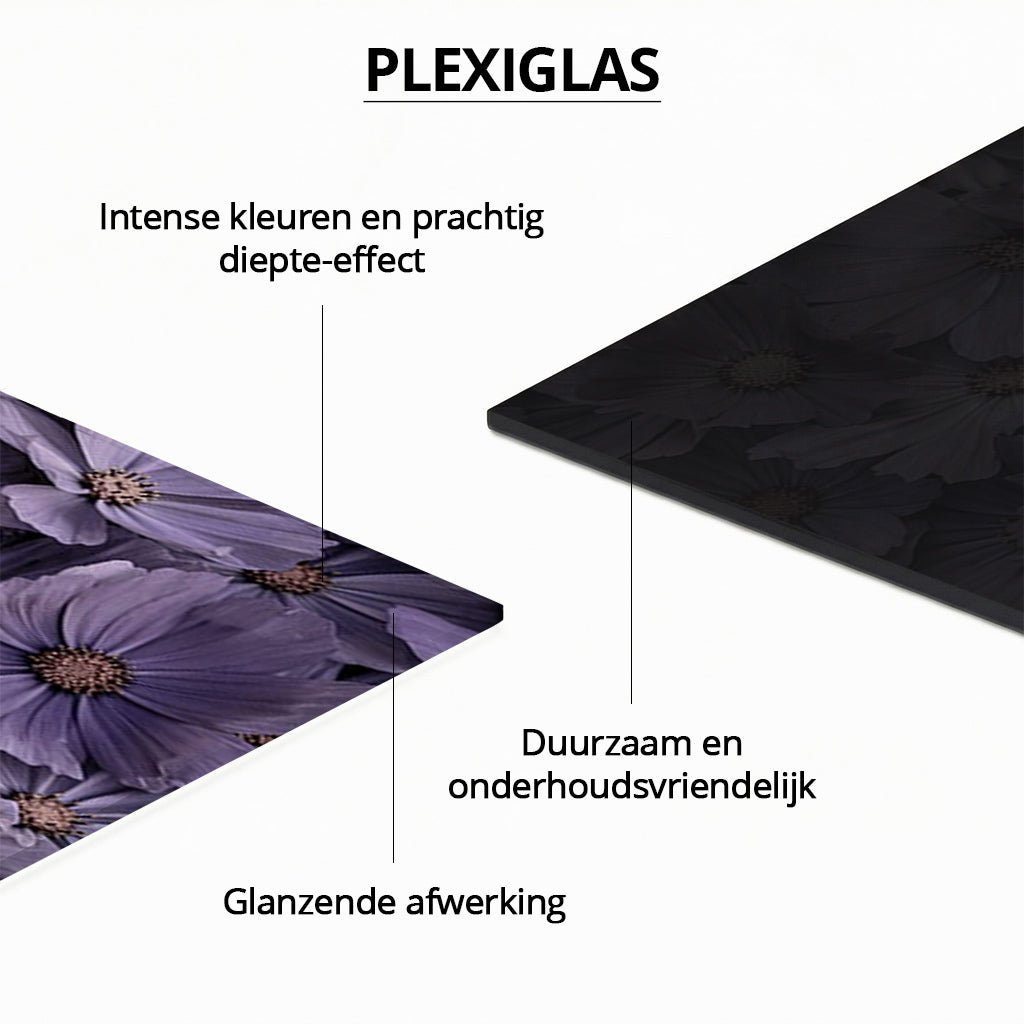 Geburtsplakat Kätzchen Lila