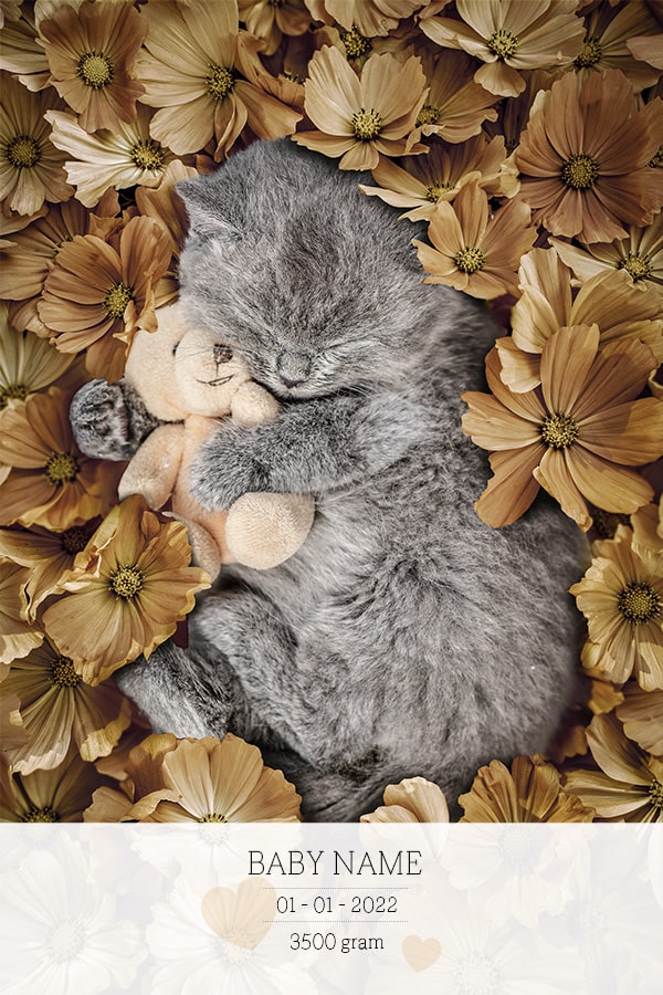 Birth Poster Kitten Yellow