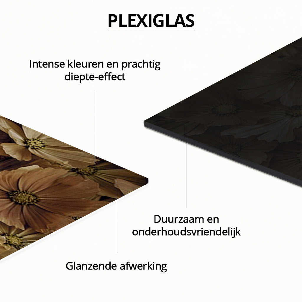 Birth Poster Kitten Yellow