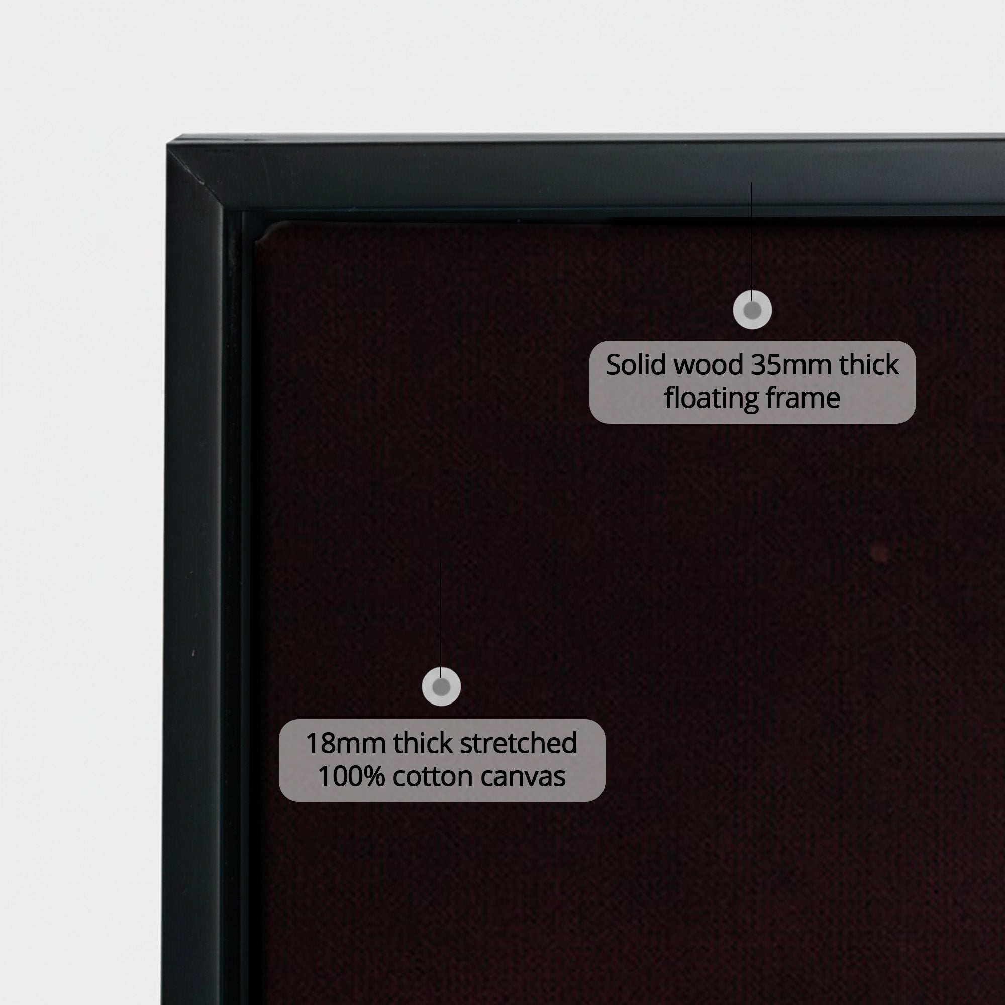 Leopard with Toucan EU
