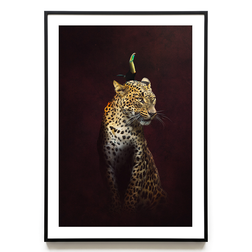 Leopard with Toucan EU