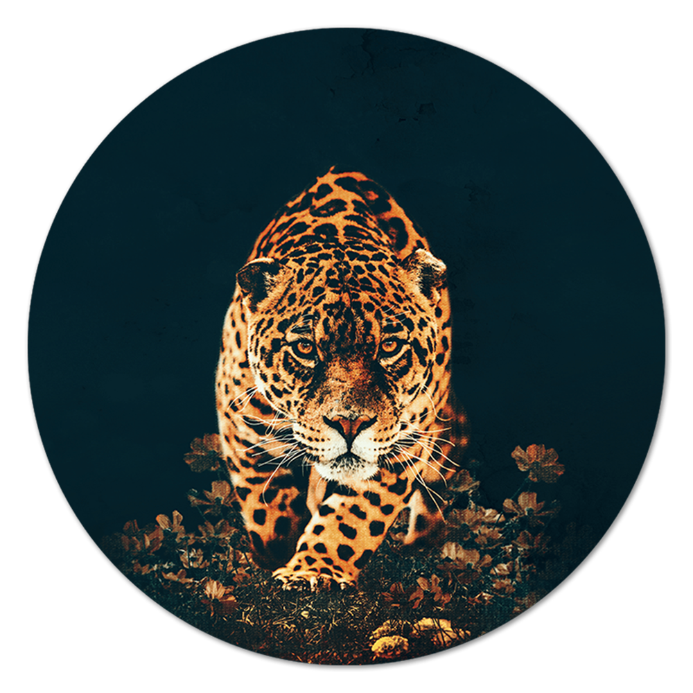 Leopard RND