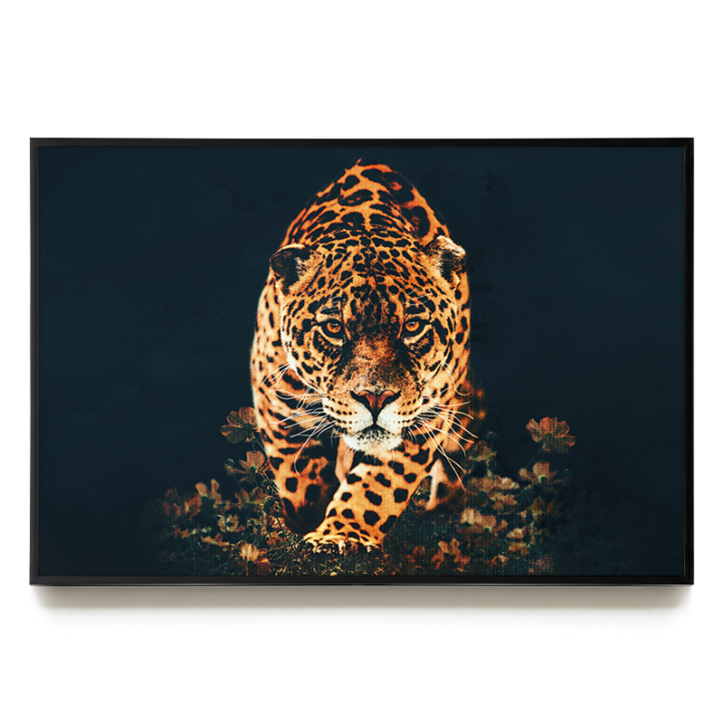 Leopard LS EU