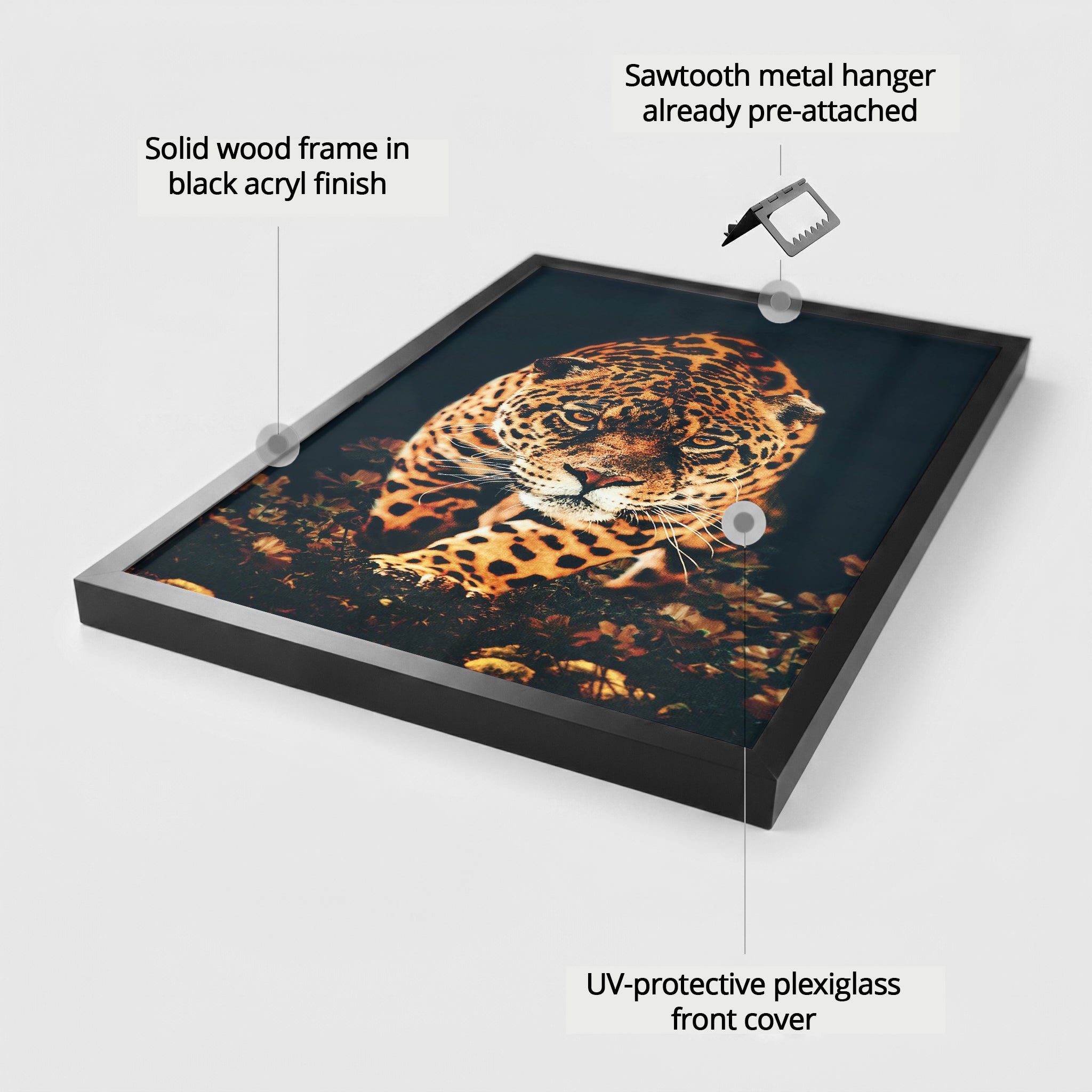 Leopard EU