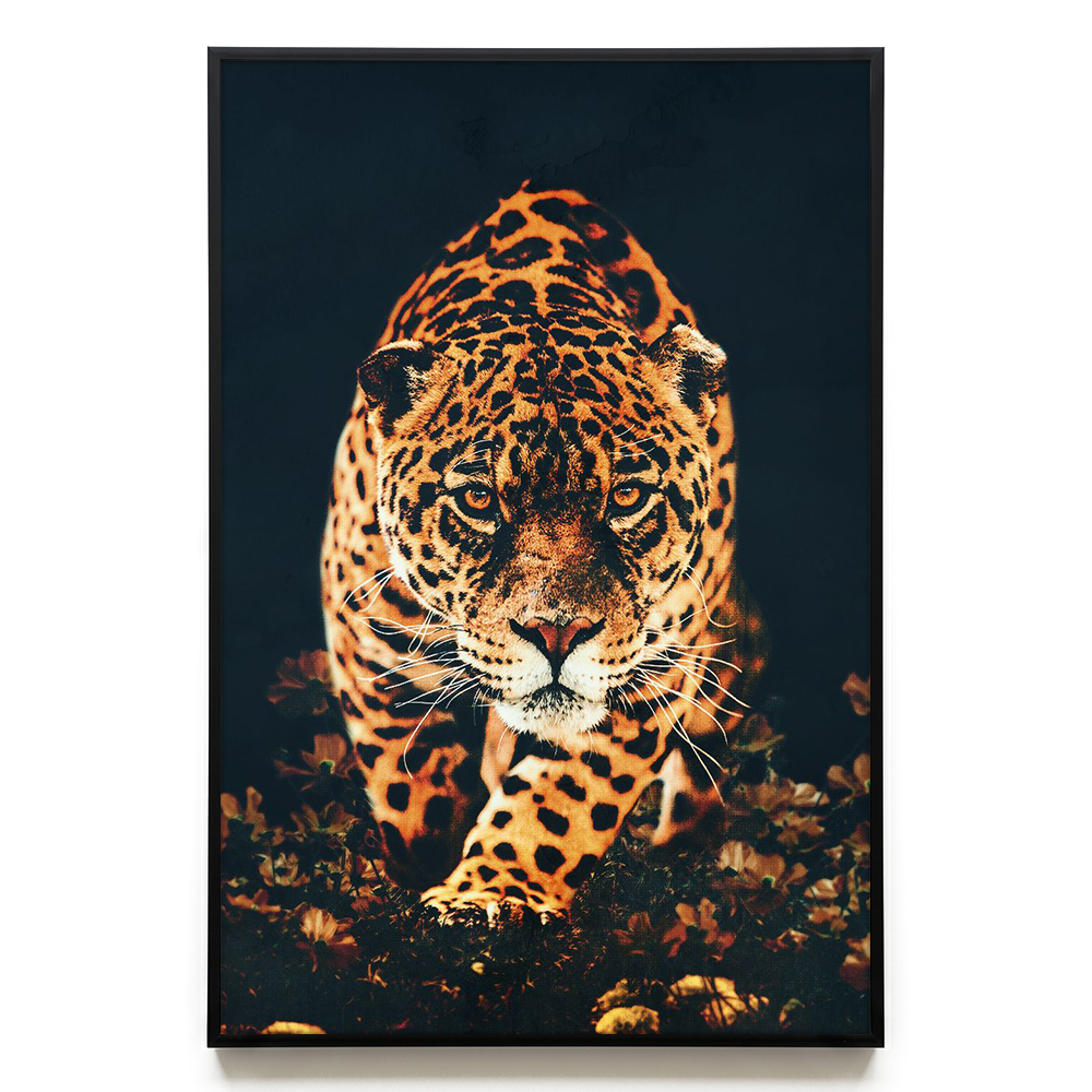 Leopard EU