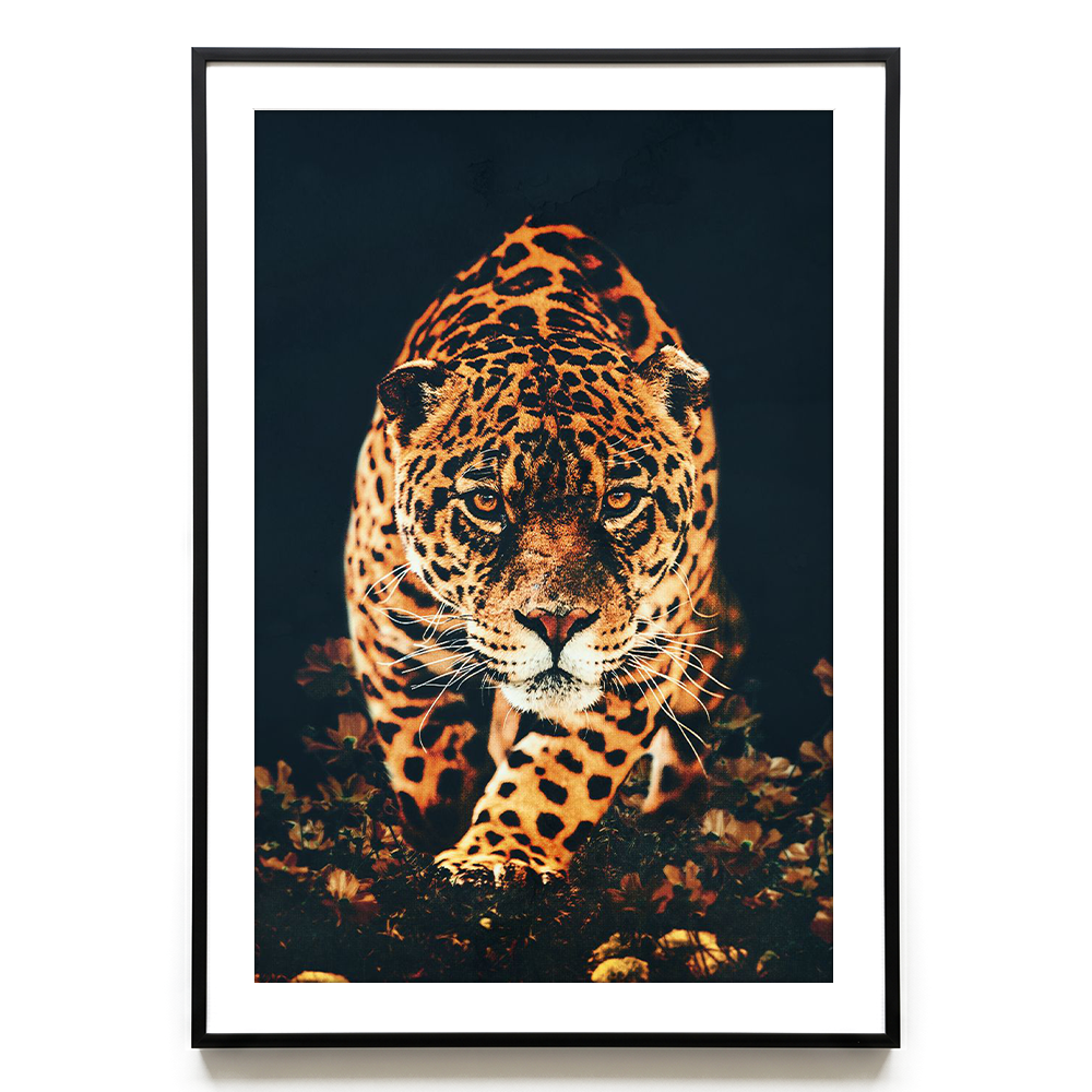Leopard EU