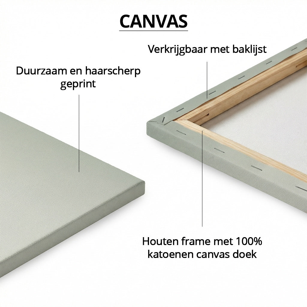 Lion and Lioness Duet #2 PAN