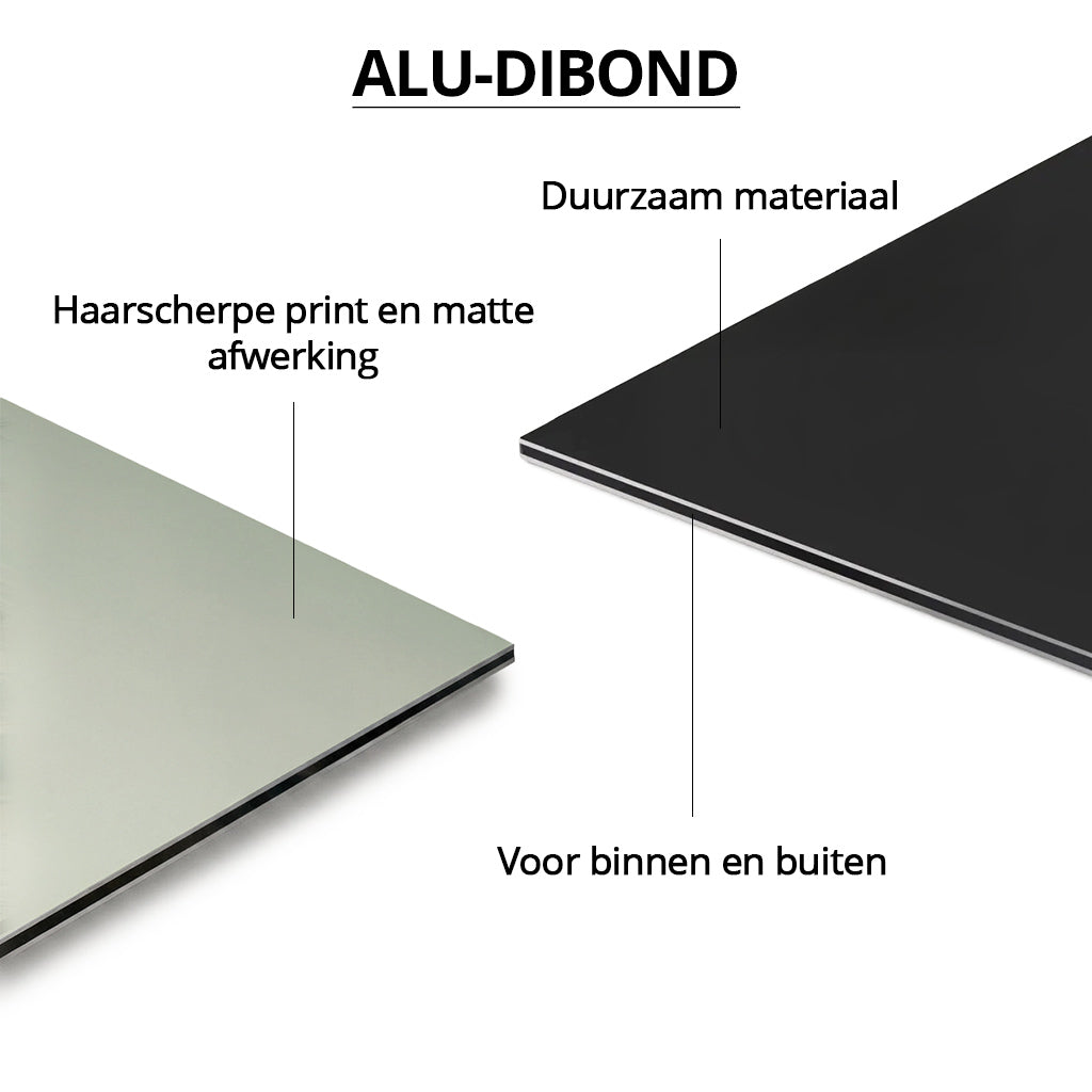 Lion and Lioness Duet #2 PAN