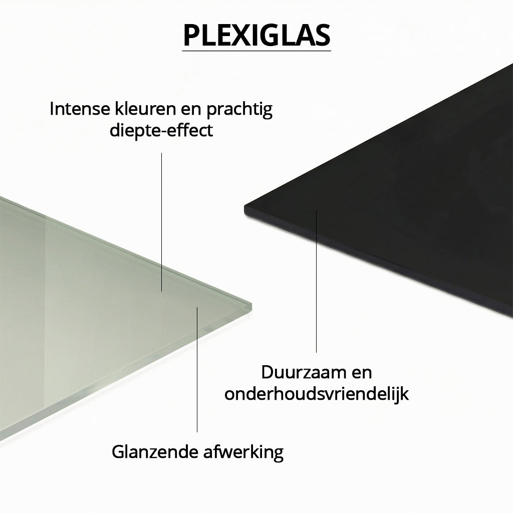 Lion and Lioness Duet #2 PAN