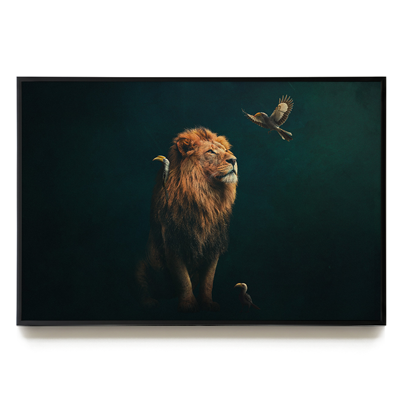 Lion with Hornbills LS EU