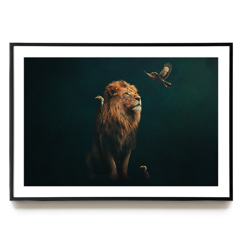 Lion with Hornbills LS EU