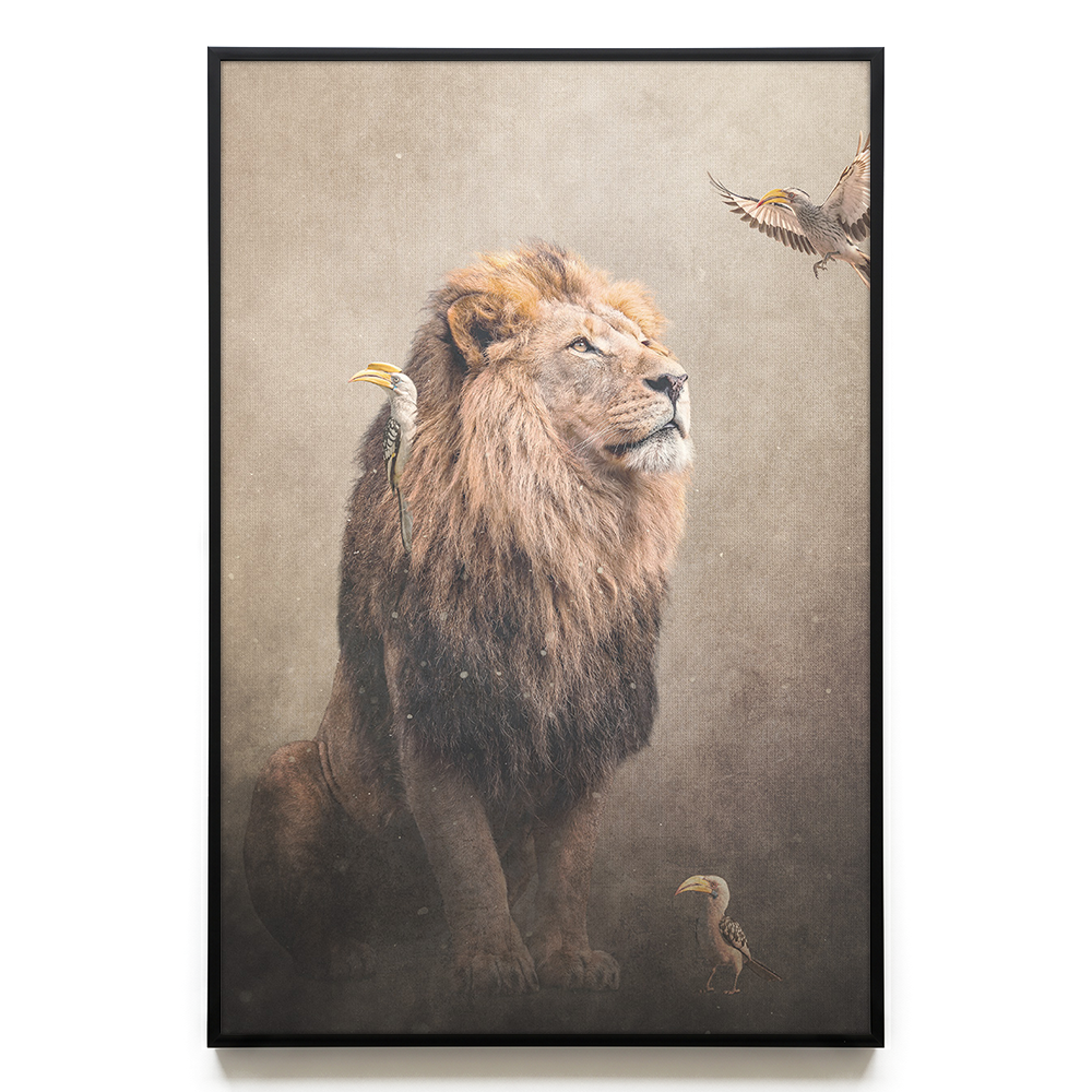 Lion with Hornbills Light EU