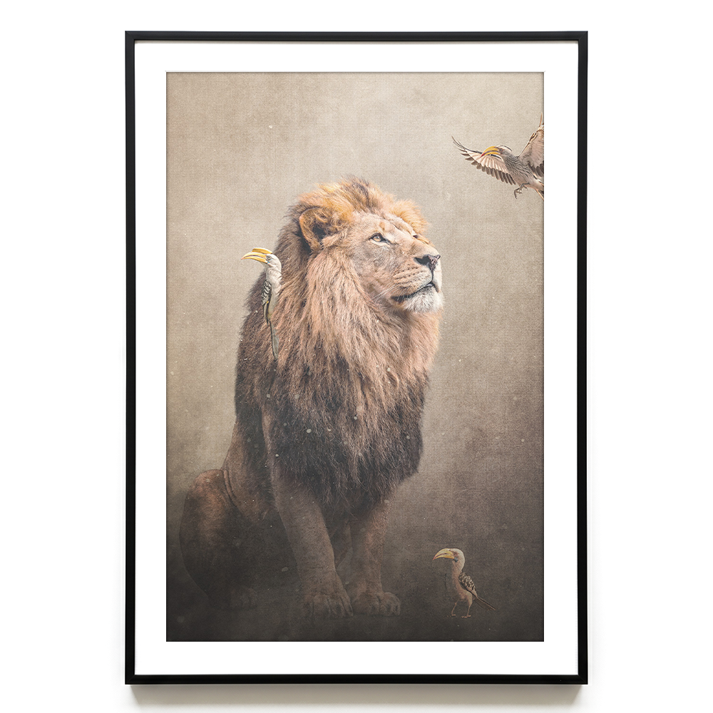 Lion with Hornbills Light EU