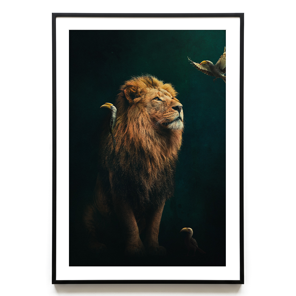 Lion with Hornbills EU